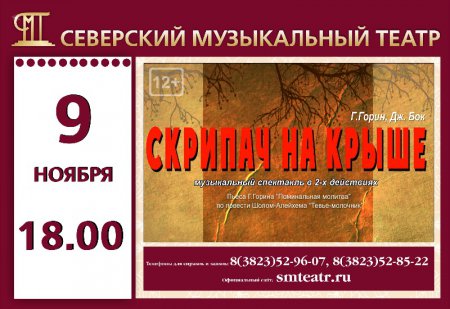 Не пропустите, 9-го ноября в 18-00, музыкальный спектакль "Скрипач на крыше" (Г.Горин, Дж.Бок)